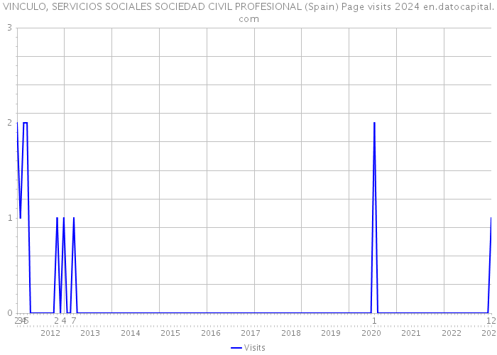 VINCULO, SERVICIOS SOCIALES SOCIEDAD CIVIL PROFESIONAL (Spain) Page visits 2024 