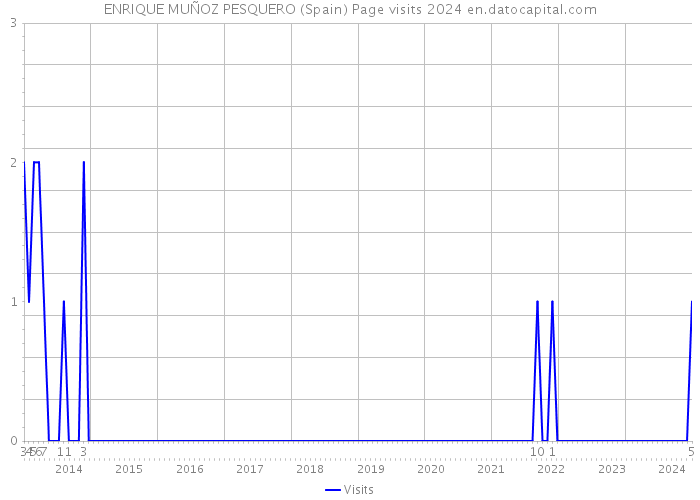 ENRIQUE MUÑOZ PESQUERO (Spain) Page visits 2024 