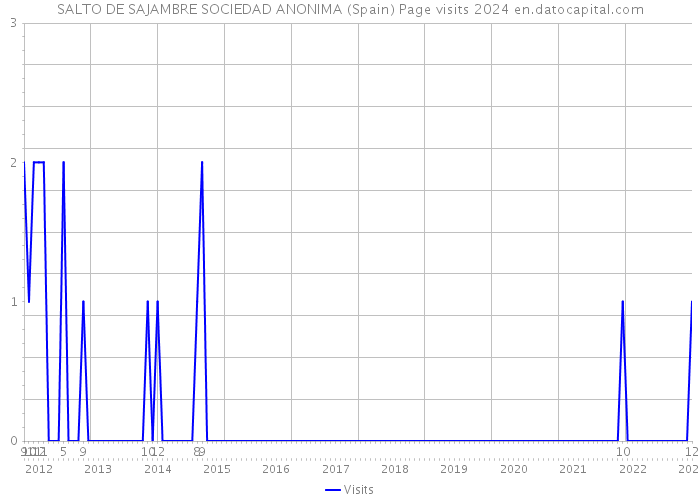 SALTO DE SAJAMBRE SOCIEDAD ANONIMA (Spain) Page visits 2024 