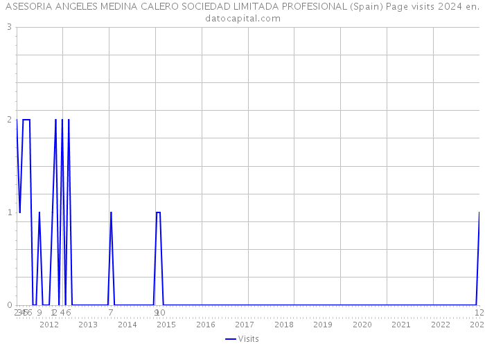 ASESORIA ANGELES MEDINA CALERO SOCIEDAD LIMITADA PROFESIONAL (Spain) Page visits 2024 