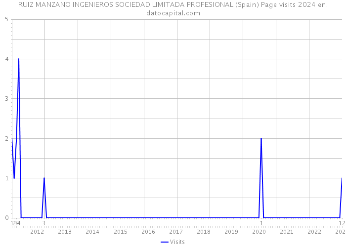 RUIZ MANZANO INGENIEROS SOCIEDAD LIMITADA PROFESIONAL (Spain) Page visits 2024 