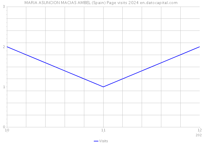 MARIA ASUNCION MACIAS AMBEL (Spain) Page visits 2024 