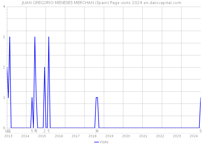 JUAN GREGORIO MENESES MERCHAN (Spain) Page visits 2024 
