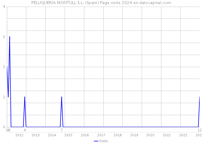 PELUQUERIA MONTULL S.L. (Spain) Page visits 2024 