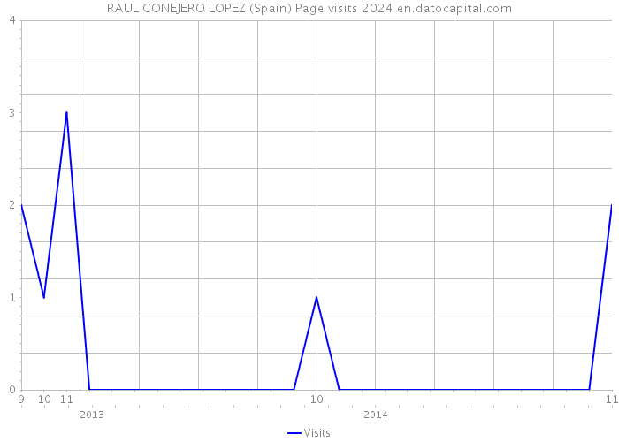 RAUL CONEJERO LOPEZ (Spain) Page visits 2024 