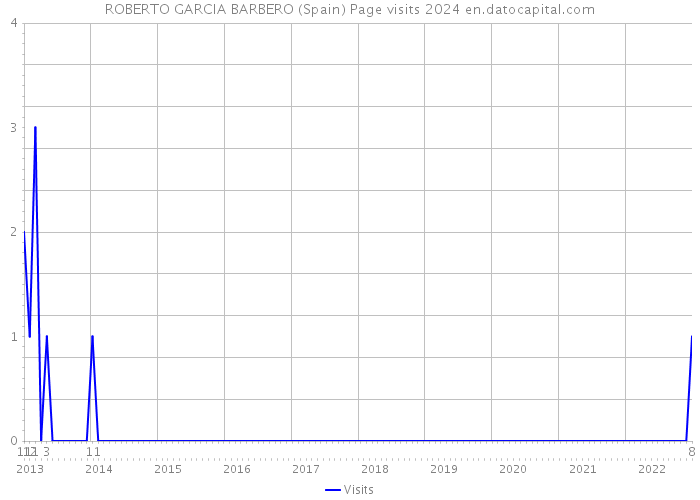 ROBERTO GARCIA BARBERO (Spain) Page visits 2024 