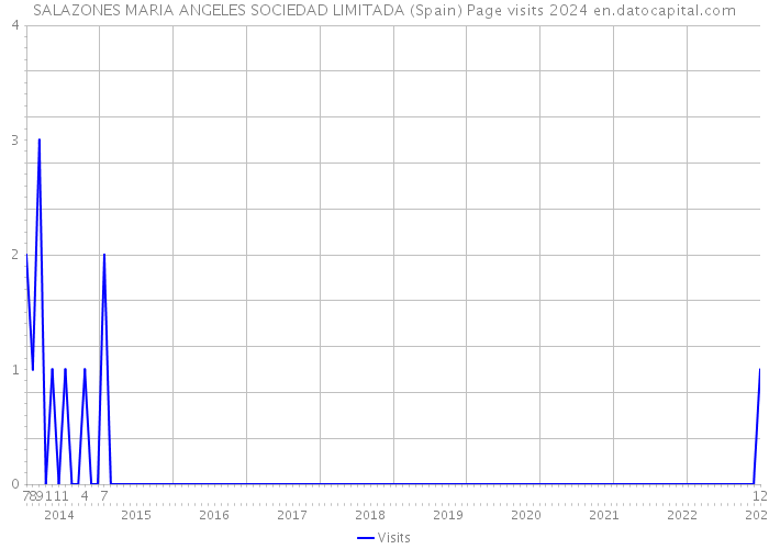 SALAZONES MARIA ANGELES SOCIEDAD LIMITADA (Spain) Page visits 2024 