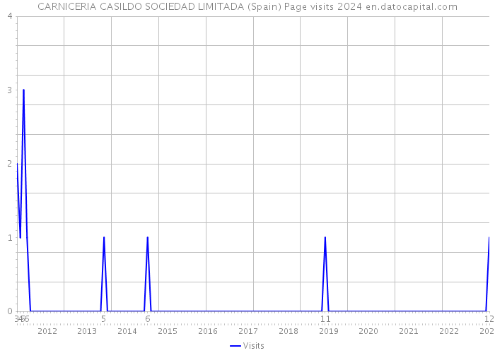 CARNICERIA CASILDO SOCIEDAD LIMITADA (Spain) Page visits 2024 