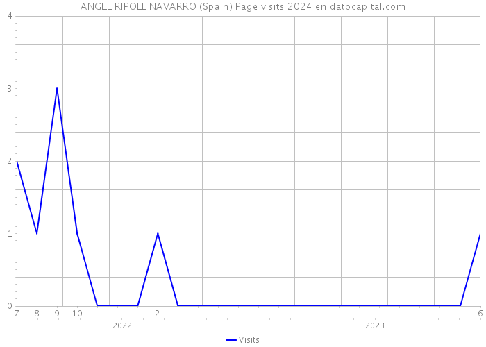 ANGEL RIPOLL NAVARRO (Spain) Page visits 2024 