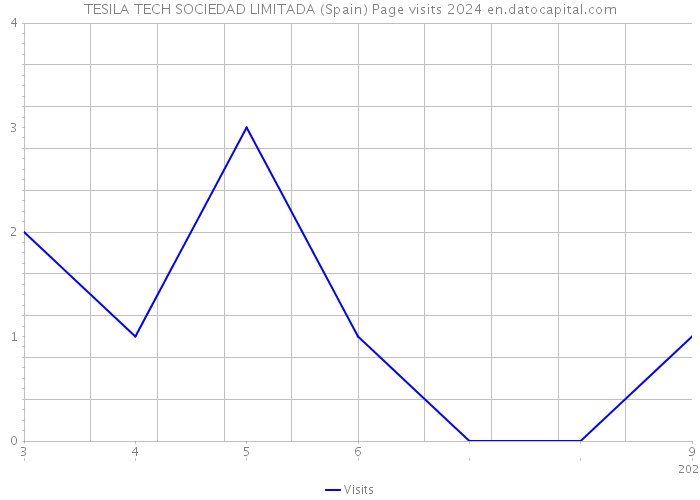 TESILA TECH SOCIEDAD LIMITADA (Spain) Page visits 2024 