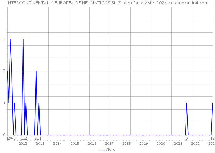 INTERCONTINENTAL Y EUROPEA DE NEUMATICOS SL (Spain) Page visits 2024 