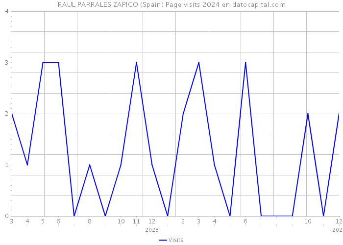 RAUL PARRALES ZAPICO (Spain) Page visits 2024 