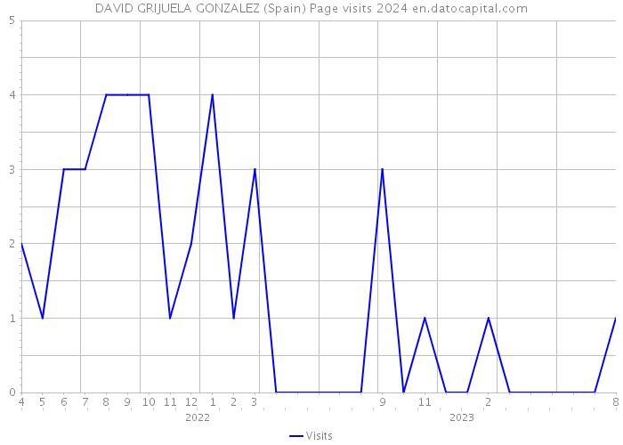 DAVID GRIJUELA GONZALEZ (Spain) Page visits 2024 