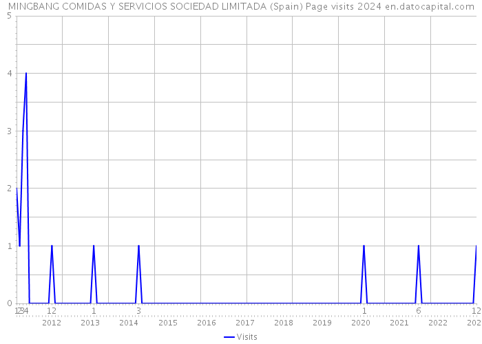 MINGBANG COMIDAS Y SERVICIOS SOCIEDAD LIMITADA (Spain) Page visits 2024 