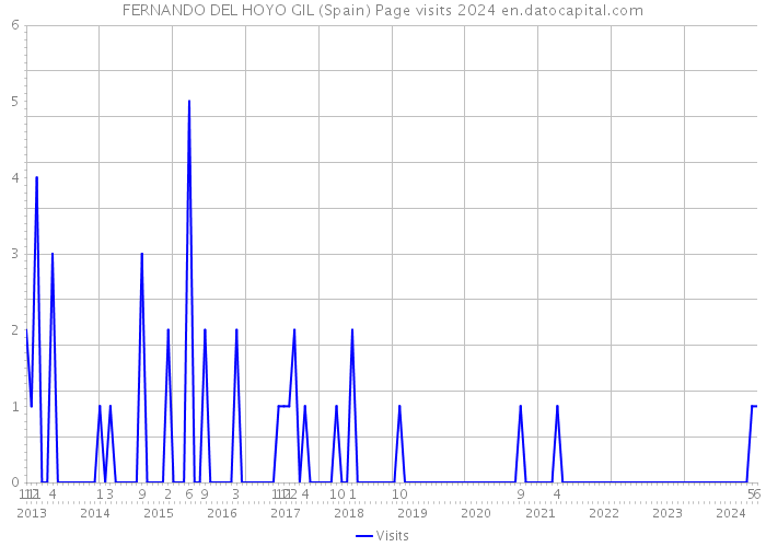 FERNANDO DEL HOYO GIL (Spain) Page visits 2024 