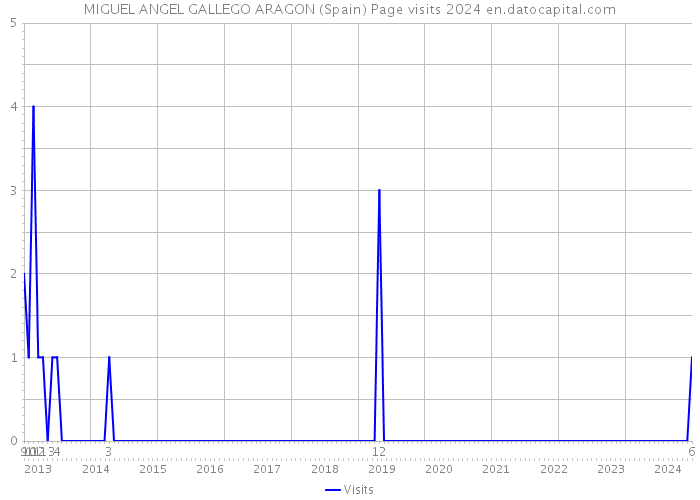 MIGUEL ANGEL GALLEGO ARAGON (Spain) Page visits 2024 