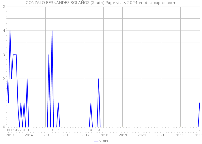 GONZALO FERNANDEZ BOLAÑOS (Spain) Page visits 2024 
