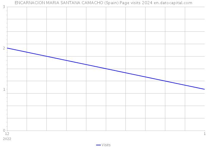 ENCARNACION MARIA SANTANA CAMACHO (Spain) Page visits 2024 