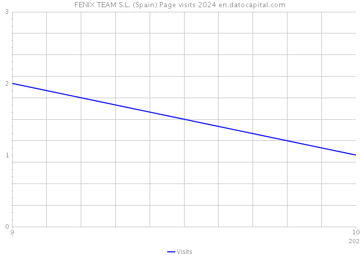 FENIX TEAM S.L. (Spain) Page visits 2024 