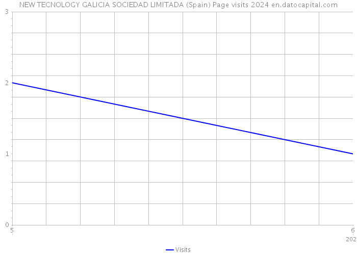 NEW TECNOLOGY GALICIA SOCIEDAD LIMITADA (Spain) Page visits 2024 