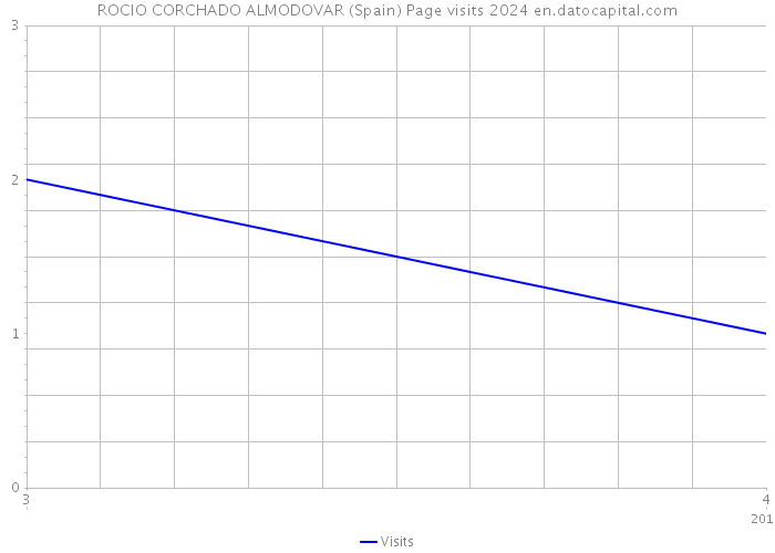 ROCIO CORCHADO ALMODOVAR (Spain) Page visits 2024 