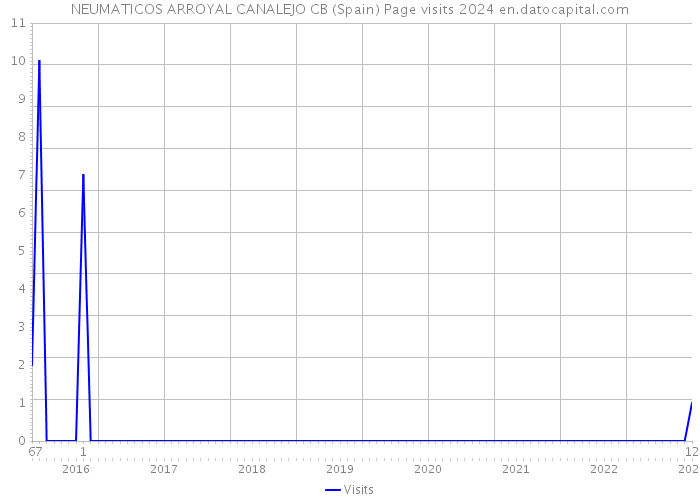 NEUMATICOS ARROYAL CANALEJO CB (Spain) Page visits 2024 