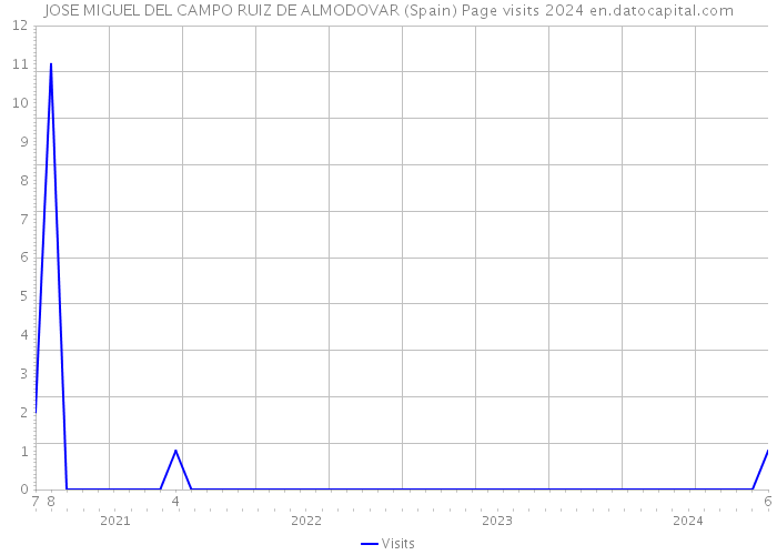 JOSE MIGUEL DEL CAMPO RUIZ DE ALMODOVAR (Spain) Page visits 2024 