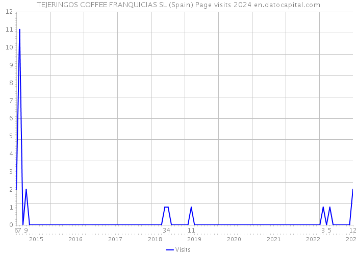 TEJERINGOS COFFEE FRANQUICIAS SL (Spain) Page visits 2024 