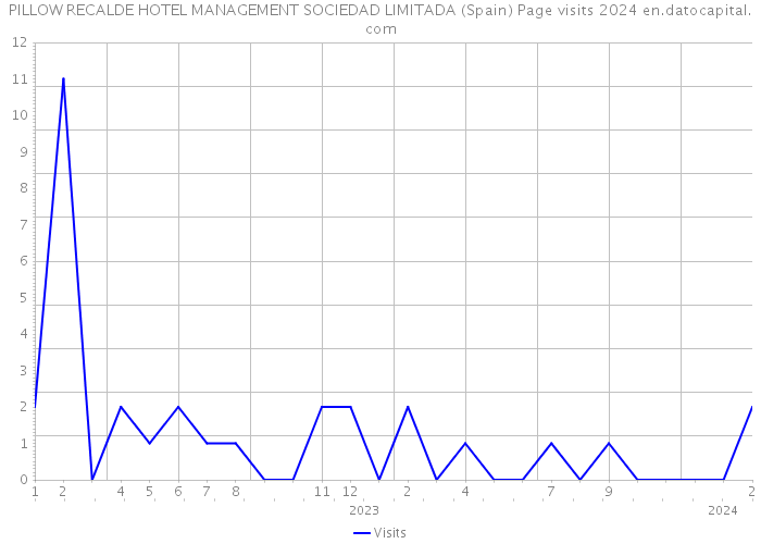 PILLOW RECALDE HOTEL MANAGEMENT SOCIEDAD LIMITADA (Spain) Page visits 2024 