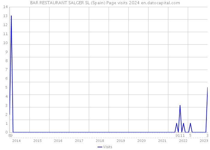 BAR RESTAURANT SALGER SL (Spain) Page visits 2024 