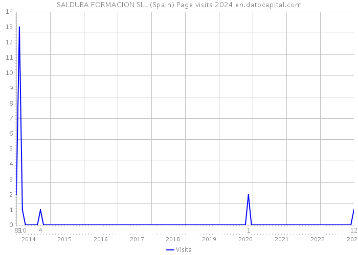 SALDUBA FORMACION SLL (Spain) Page visits 2024 