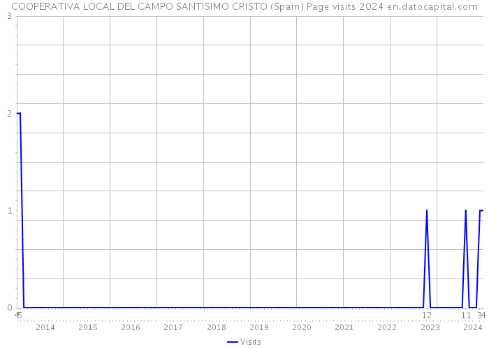 COOPERATIVA LOCAL DEL CAMPO SANTISIMO CRISTO (Spain) Page visits 2024 
