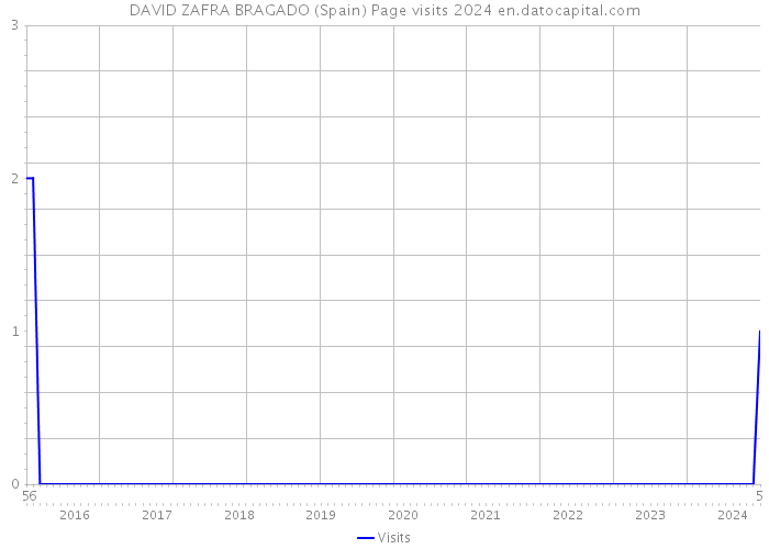 DAVID ZAFRA BRAGADO (Spain) Page visits 2024 