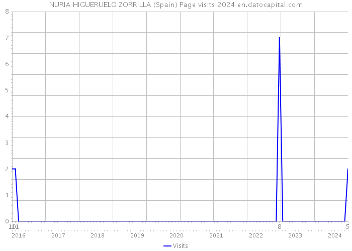 NURIA HIGUERUELO ZORRILLA (Spain) Page visits 2024 