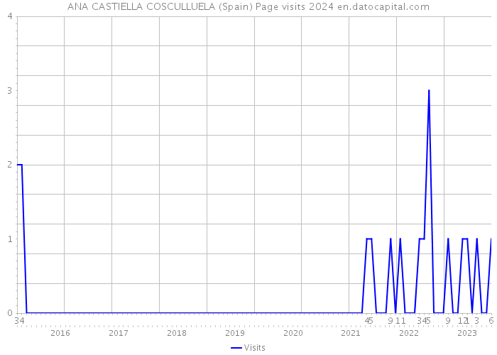 ANA CASTIELLA COSCULLUELA (Spain) Page visits 2024 
