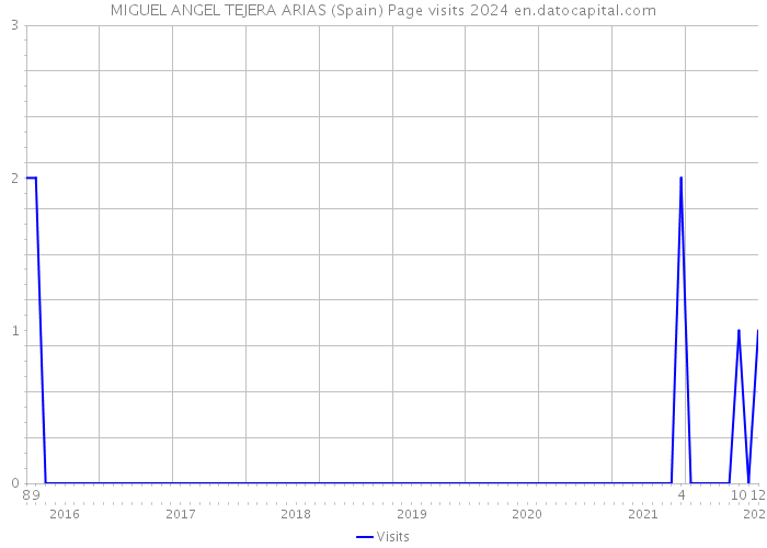 MIGUEL ANGEL TEJERA ARIAS (Spain) Page visits 2024 