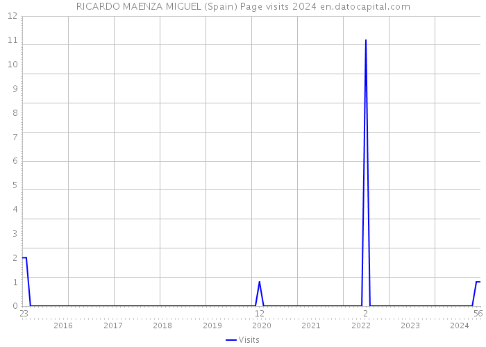 RICARDO MAENZA MIGUEL (Spain) Page visits 2024 