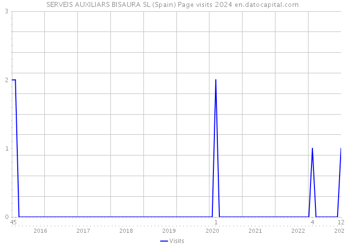 SERVEIS AUXILIARS BISAURA SL (Spain) Page visits 2024 