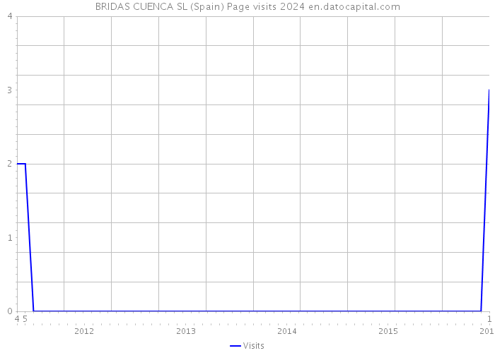 BRIDAS CUENCA SL (Spain) Page visits 2024 
