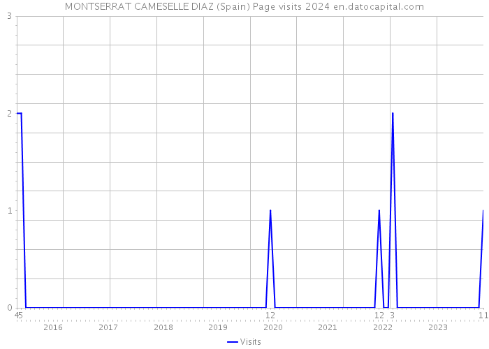 MONTSERRAT CAMESELLE DIAZ (Spain) Page visits 2024 