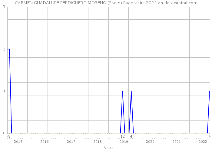 CARMEN GUADALUPE PERDIGUERO MORENO (Spain) Page visits 2024 