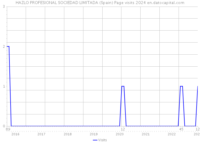 HAZLO PROFESIONAL SOCIEDAD LIMITADA (Spain) Page visits 2024 