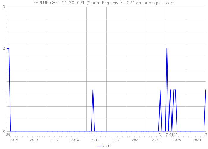 SAPLUR GESTION 2020 SL (Spain) Page visits 2024 