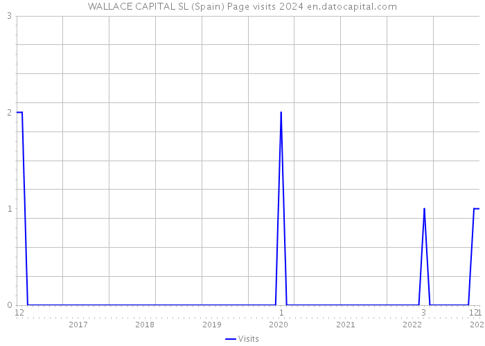 WALLACE CAPITAL SL (Spain) Page visits 2024 