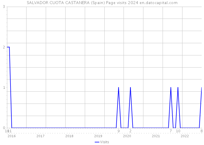 SALVADOR CUOTA CASTANERA (Spain) Page visits 2024 
