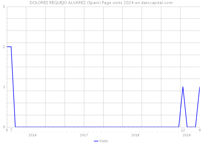 DOLORES REQUEJO ALVAREZ (Spain) Page visits 2024 
