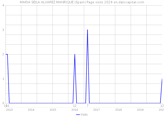 MARIA SEILA ALVAREZ MANRIQUE (Spain) Page visits 2024 