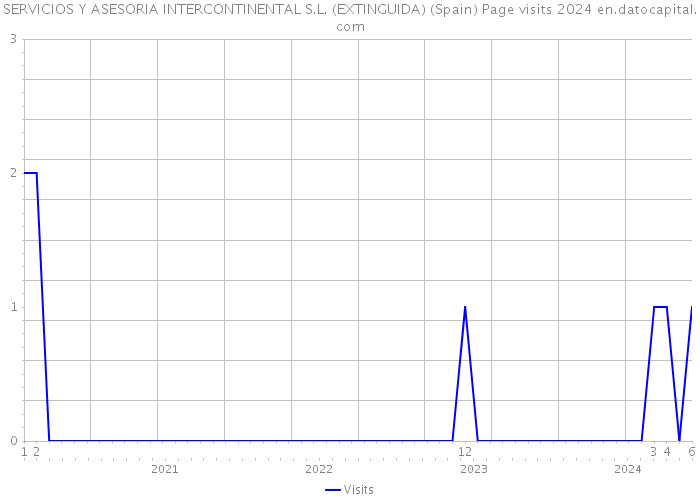 SERVICIOS Y ASESORIA INTERCONTINENTAL S.L. (EXTINGUIDA) (Spain) Page visits 2024 