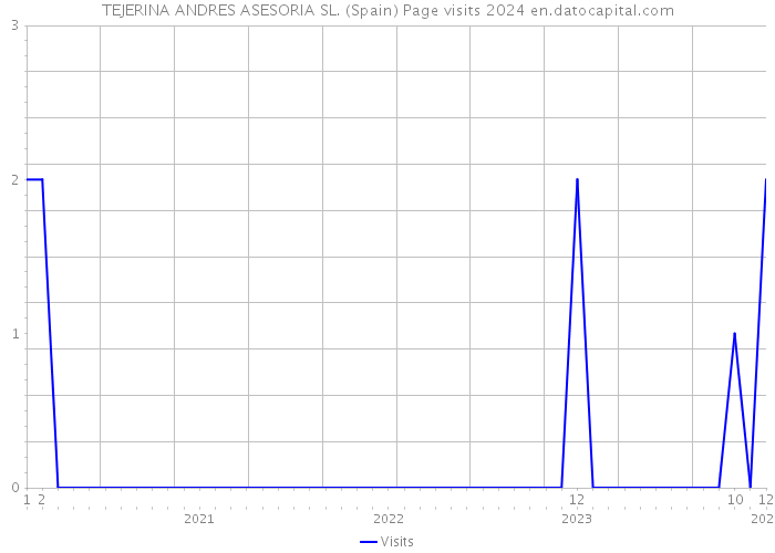 TEJERINA ANDRES ASESORIA SL. (Spain) Page visits 2024 