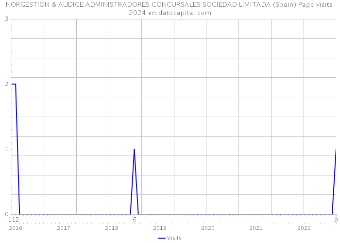 NORGESTION & AUDIGE ADMINISTRADORES CONCURSALES SOCIEDAD LIMITADA (Spain) Page visits 2024 